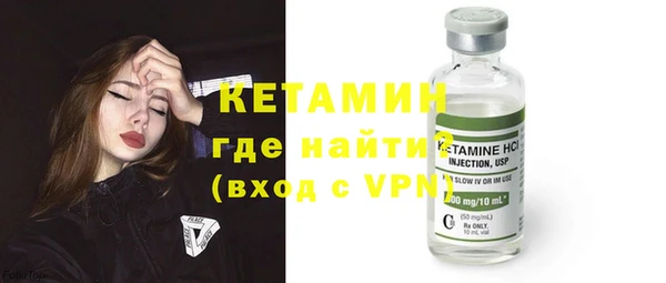 индика Бородино