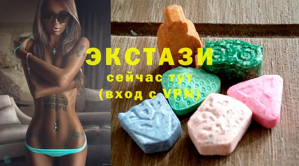 индика Бородино