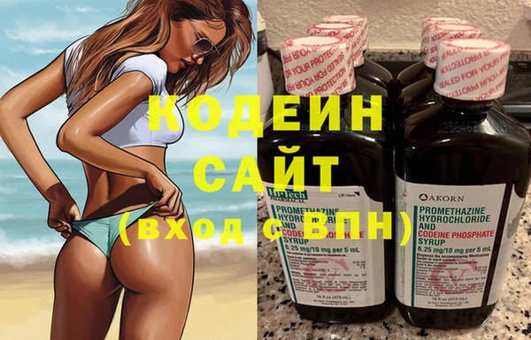 индика Бородино
