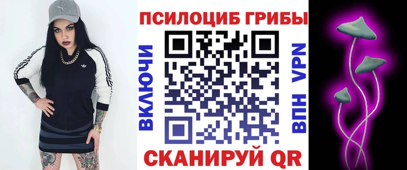 Галлюциногенные грибы прущие грибы  Тотьма 